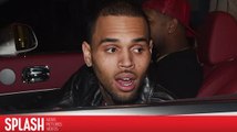 Chris Brown Stalker is Ordered to Stay Away from Him for 5 Years