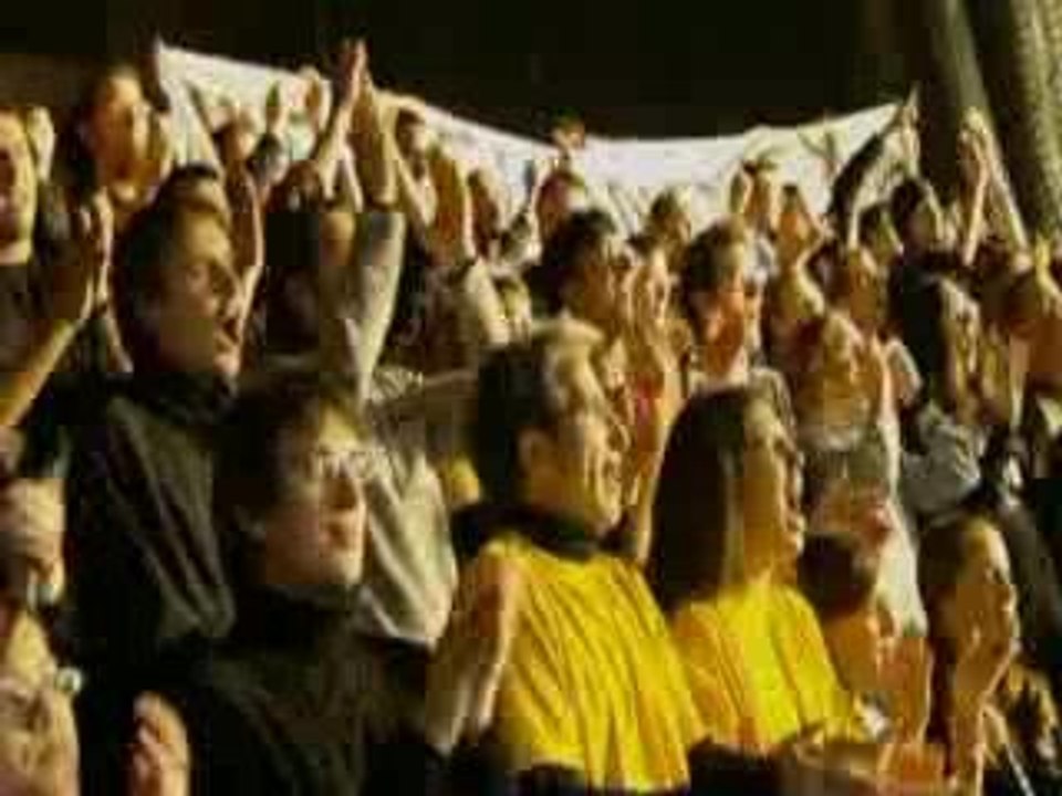 here_to_stay_(helmet)