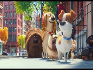 The Secret Life of Pets ytp and craziness