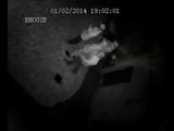 Burglary caught on CCTV | Meath, Ireland.