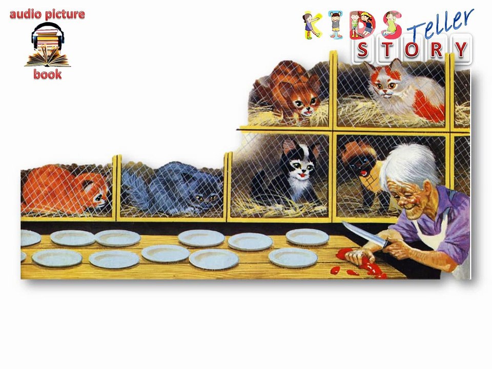 6 gobbolino ship cat