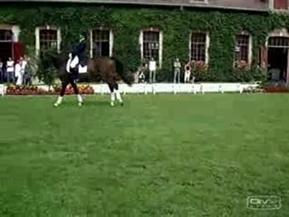 Dressage a montier en der