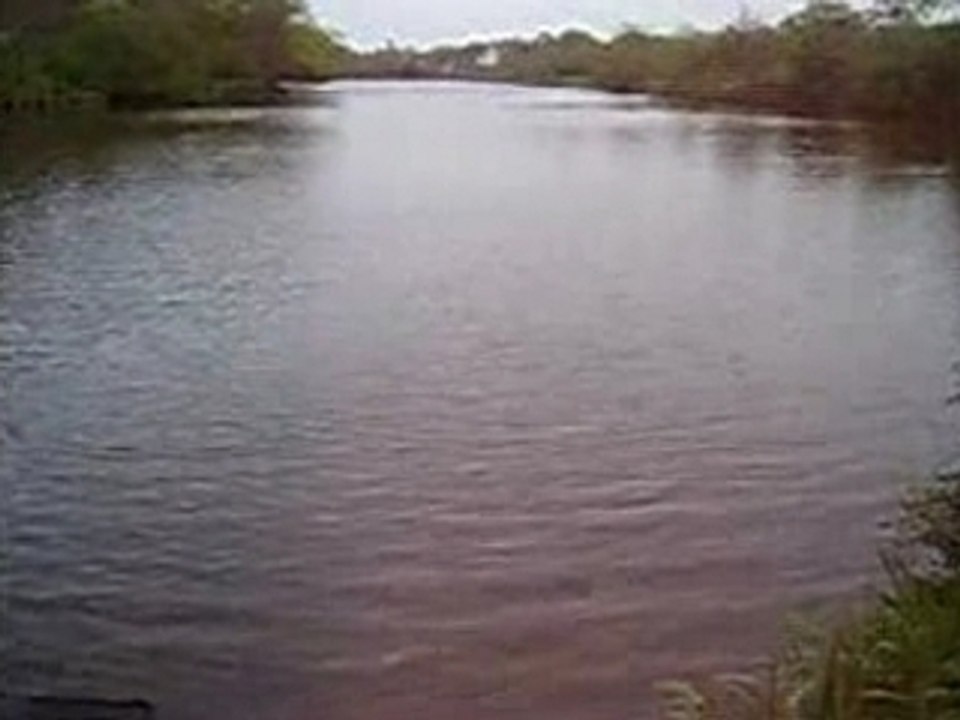 Video1