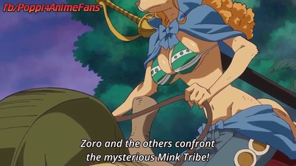 LUFFY VS MINK TRIBE BATTLE BEGINS STARTED REVIEW  !!! One Piece