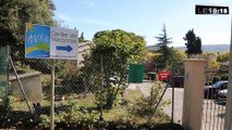 Vaucluse : 50 migrants mineurs sont arrivés