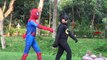Spiderman Vs Hulk Vs Batman Fight In Real Life | Superheroes Epic Rap Battles Video For Children