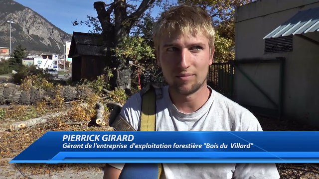 Hautes-Alpes : Élagage de platanes ce jeudi à Briançon