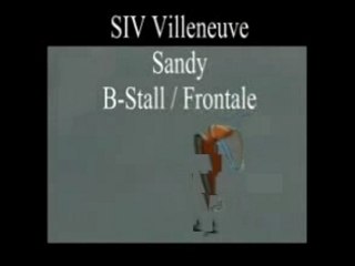 SIV B-stall / Frontale