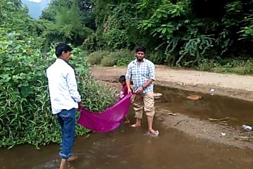 Discover the Majestic Jantu in Ammerdy Forest & River 🐘