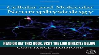 [READ] EBOOK Cellular and Molecular Neurophysiology, Third Edition BEST COLLECTION