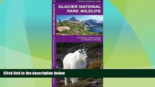 Big Deals  Glacier National Park Wildlife: A Folding Pocket Guide to Familiar Species (Pocket
