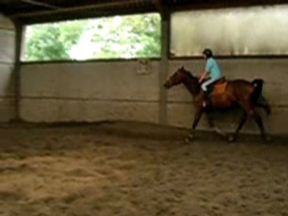 Galop Claire+ONE 23-08-07