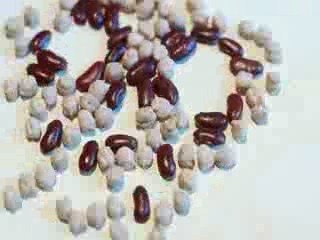 Haricots Vs Pois chiche