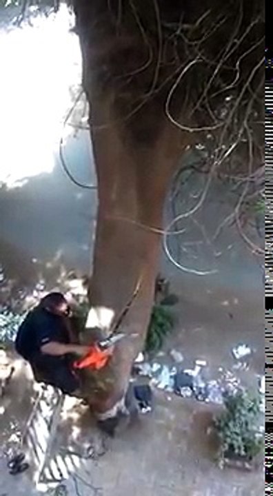 Esto es lo que pasó cuando un hombre intentó cortar un árbol con una motosierra
