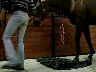 Bob desensibilisation