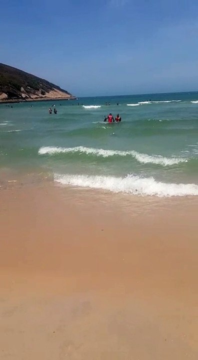 Salva-vidas tiram suspeito de roubo pelos cabelos do mar