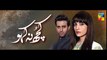 Kuch Na Kaho Ost Full Audio Song - Afshan Fawad & Abbas Ali Khan - Hum Tv