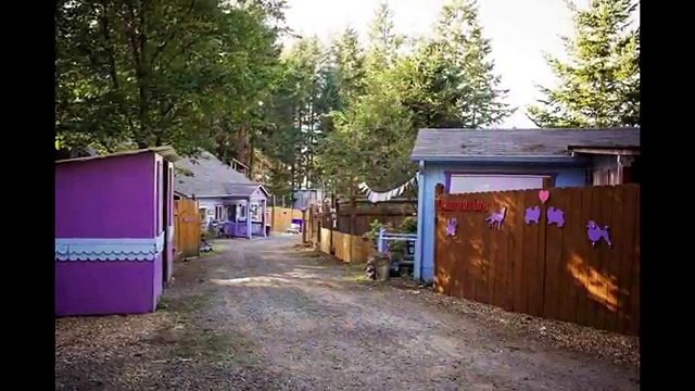 Shelter Builds Private Cottages For Dogs, Because Animals Shouldn’t Live In Cages