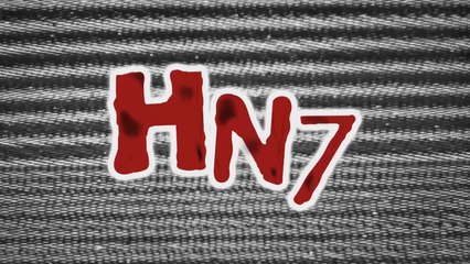 HN7 / Aquí Hacemos Cine
