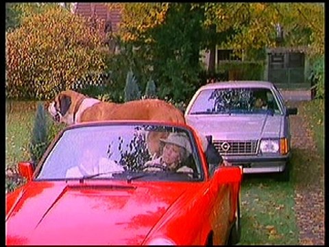 3. ) Auf den Hund gekommen