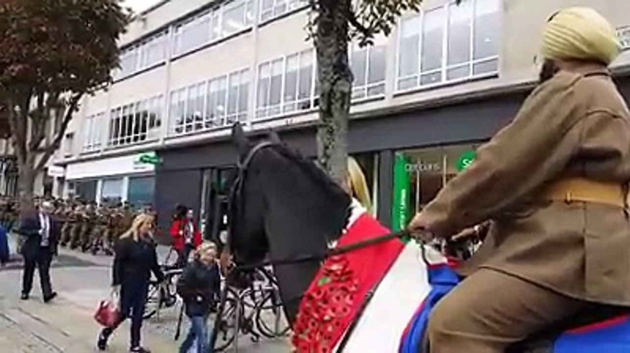 Royal British Legion Plymouth Nov 2016