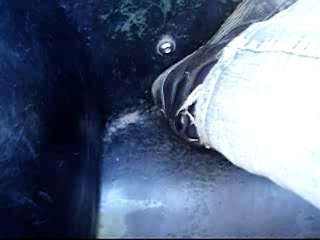 walibi vi et david nous!