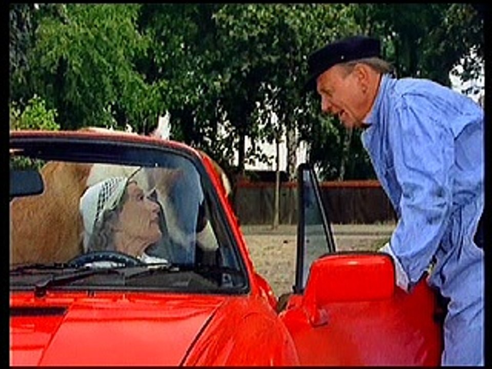 5. ) Der Tanz ums Moped