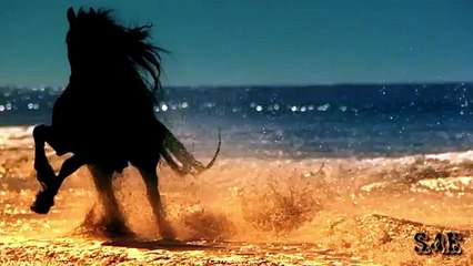 Laura Pausini - Its not goodbye