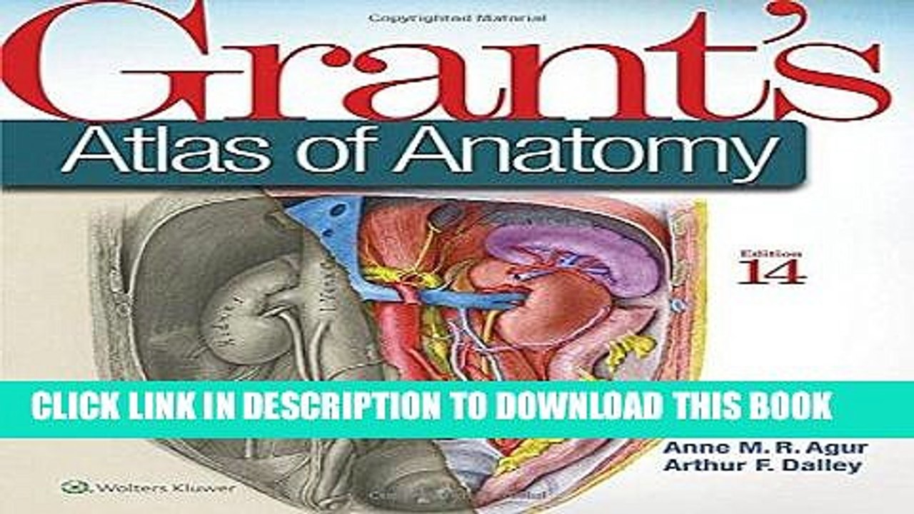 [PDF] Grant s Atlas of Anatomy Popular Collection