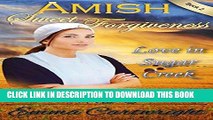 Ebook AMISH ROMANCE: Amish Sweet Forgiveness: Short Amish Romance Inspirational Story (Love in