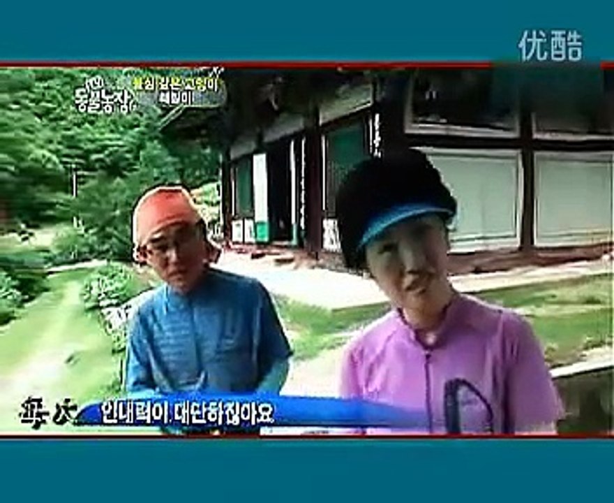 世界上最有灵性的猫 韩国一只皈依佛门的猫