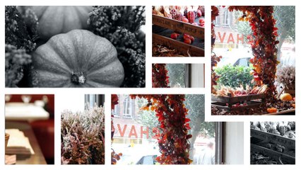 Autumn Floral Displays