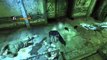 Batman: Arkham Asylum - Gameplay Walkthrough - Part 20 - Plant Infestation (PC)