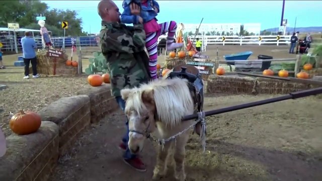 Petting ZOO at the Farm Feeding Horses and Goats Learn Animal Names for Kids-IBqvyMPidRg