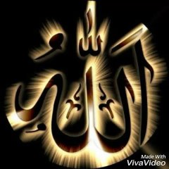 Mustafa Ceceli- GEL GÖR BENİ