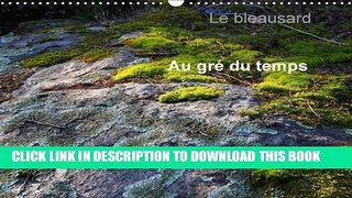 [PDF] Le Bleausard 2016: Le Calendrier des Fans d Escalade a Fontainebleau (Calvendo Sportif)