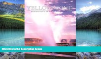 Big Deals  Discovering Yellowstone - An Introduction to the Park and its Environment (Discovering
