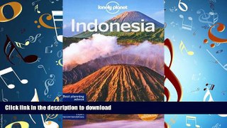 READ PDF Lonely Planet Indonesia (Travel Guide) READ EBOOK