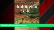 PDF ONLINE Indonesia, Etc.: Exploring the Improbable Nation READ NOW PDF ONLINE