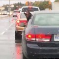 Dog hilariously tries to eat the rain