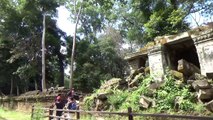 JUNGLE TEMPLE SIEM REAP CAMBODIA