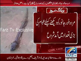 Murdoon Ko Khane Wala Anokha Janwar…