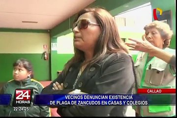 Callao: vecinos denuncian presencia de plaga de zancudos