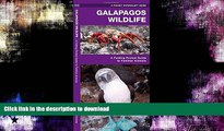 READ  Galapagos Wildlife: A Folding Pocket Guide to Familiar Animals (Pocket Naturalist Guide