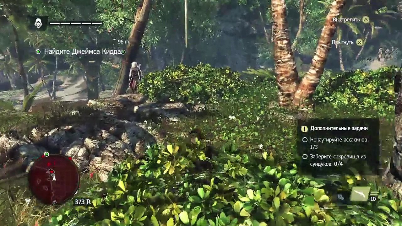 Assassins creed 4 blak flag (13)