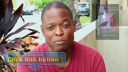 Look Inside Mega Strain (The Tabs Ganj Chronicles) Review