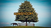 광주오피방 (Opss1.com) 오피에스 광주휴게텔