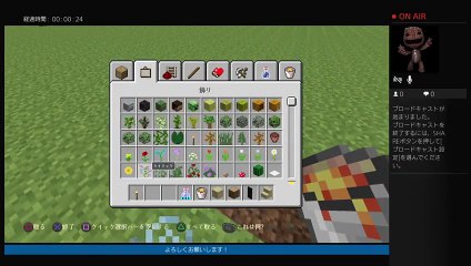 マインクラフトいろいろするよ (21)