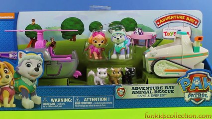 Paw Patrol: Adventure Bay Animal Rescue, Skye & Everest