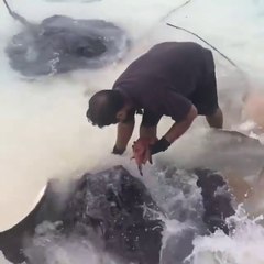 Bu adamın hayvanlarla arası iyi galiba